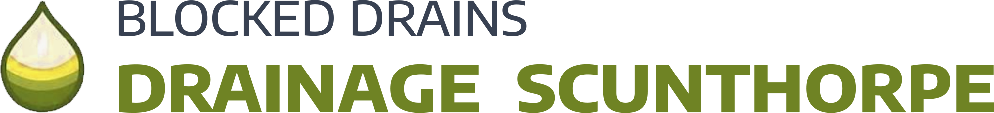 website logo